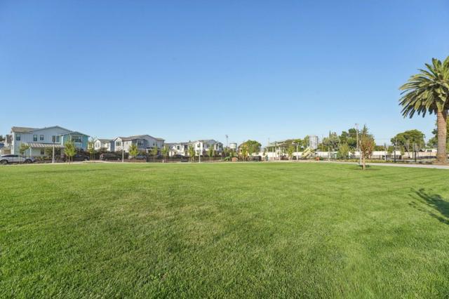 709 Vinemaple Terrace, Sunnyvale CA: https://media.crmls.org/mediaz/bf96dd3b-62fb-4d6d-a644-6ec9ea0509da.jpg