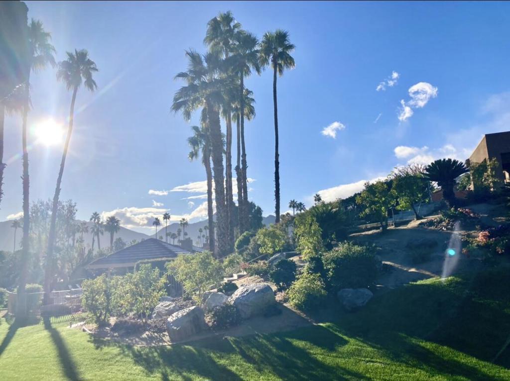 MLS #219137279DA image #15