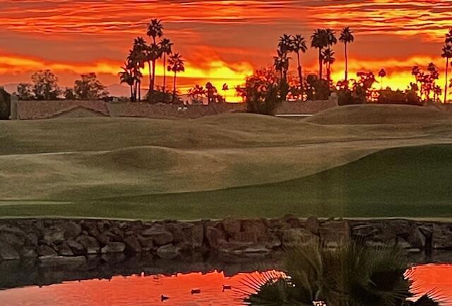 54588 Oak Tree #A105