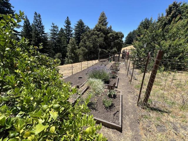 Image 42 of 58 For 1560 Tindall Ranch Road