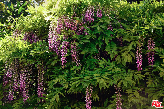 Image 36 of 49 For 2707 Hermosita Drive