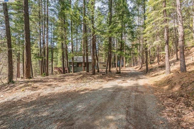 121 Mountain Aire Ln, Trinity Center CA: https://media.crmls.org/mediaz/bfa24c26-cc2a-42bf-9f8f-4a4128ad2bd7.jpg