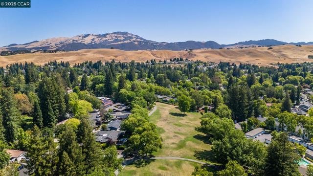 575 Old Orchard Dr, Danville CA: https://media.crmls.org/mediaz/bfb64b23-daff-44c0-9cb1-d7756ecbb493.jpg
