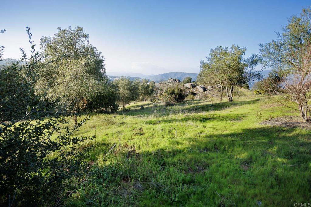 MLS #NDP2506437 image #14