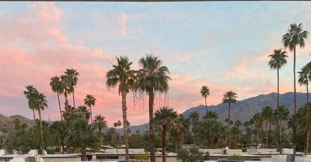 1111 E Palm Canyon Drive, Palm Springs CA: https://media.crmls.org/mediaz/bfbfffd0-6362-4ab0-b8fe-3b6534e700ad.jpg