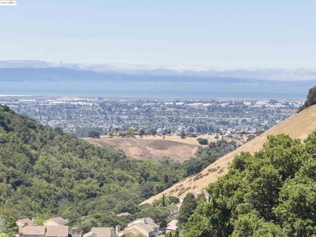 3446 Eureka Ct, Hayward CA: https://media.crmls.org/mediaz/bfc1bdcb-3a96-4aa6-929b-a934e70937c9.jpg