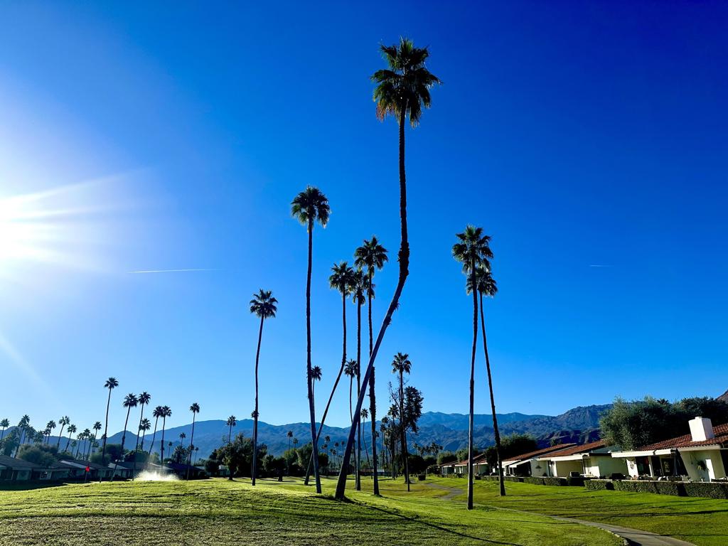 MLS #219139276DA image #47