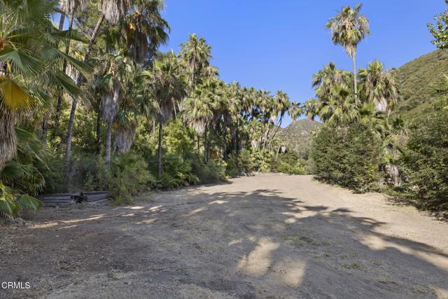 16825 Maricopa Highway, Ojai CA: https://media.crmls.org/mediaz/bfcc4e84-5624-4e9b-ae35-c203af99b91d.jpg