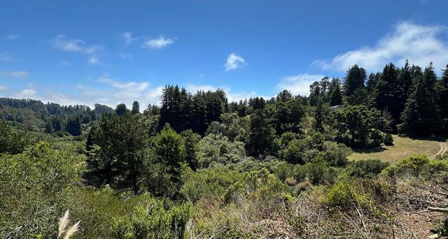 5601 Freedom Boulevard, Aptos CA: https://media.crmls.org/mediaz/bfd36167-cd29-4526-814d-9a65d9c0afd8.jpg