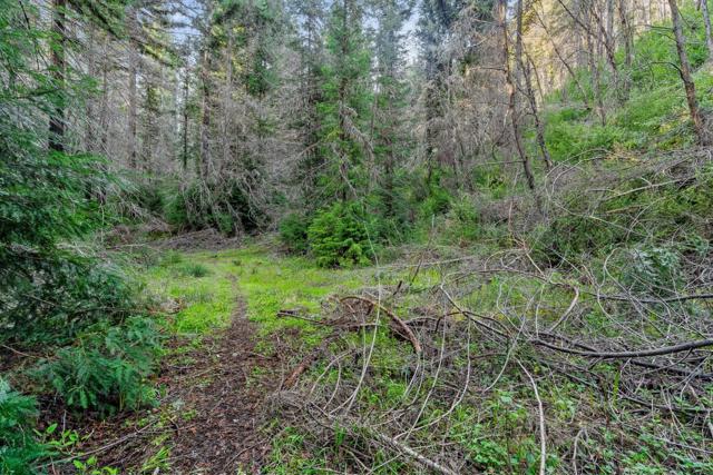 21200 Big Basin Way, Boulder Creek CA: https://media.crmls.org/mediaz/bfdbd2ef-75f5-45c2-bf53-a22638e1ee36.jpg