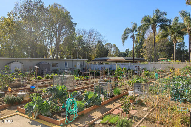 13105 Village 13, Camarillo CA: https://media.crmls.org/mediaz/bfe0617d-1747-4eef-a04c-15e74b1332ad.jpg