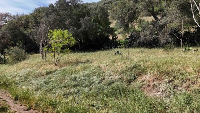 Detail Gallery Image 39 of 60 For 9237 Harmony Grove, Escondido,  CA 92029 - 3 Beds | 2/1 Baths