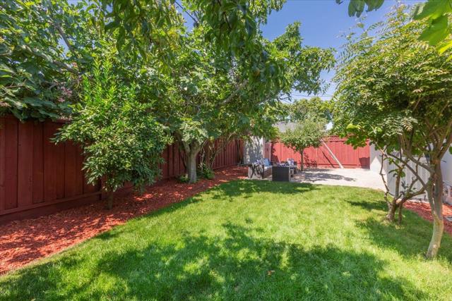 3562 Earl Drive, Santa Clara CA: https://media.crmls.org/mediaz/bfe77cae-3037-47b2-a75f-af20bd291435.jpg
