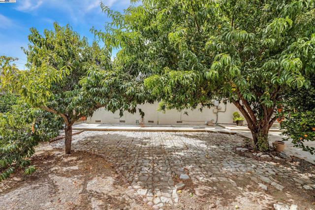 39672 Blacow Rd, Fremont CA: https://media.crmls.org/mediaz/bff66c96-ac98-46b9-b0e4-a109af9c7def.jpg