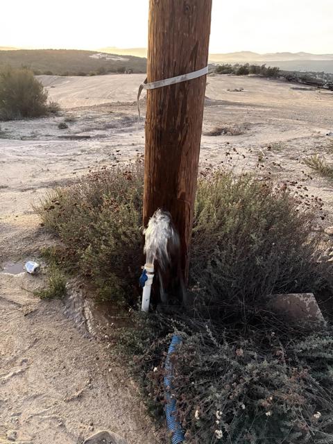 Detail Gallery Image 16 of 27 For Tierra Del Sol Rd, San Diego,  CA 91905 - – Beds | – Baths