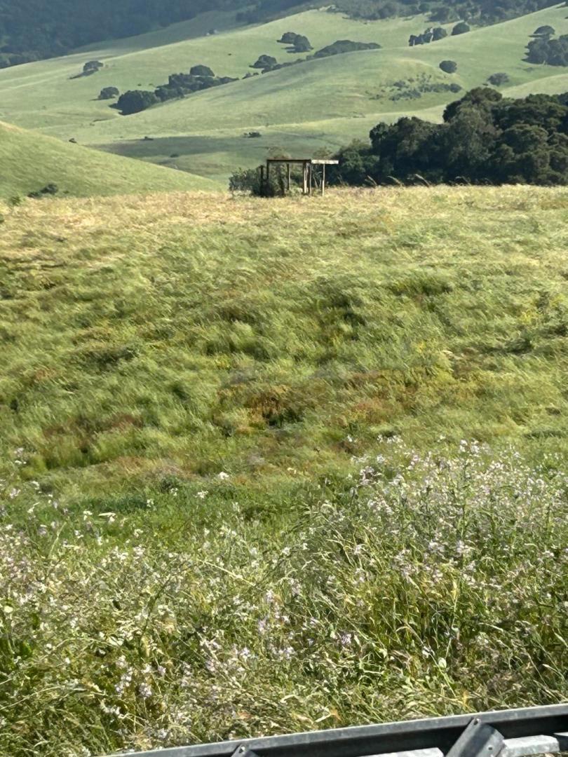 MLS #ML82007272 image #3