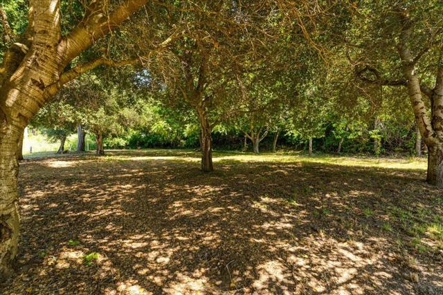 28120 Schulte Road, Carmel CA: https://media.crmls.org/mediaz/c0109b64-7a66-47cb-af53-84b7e7f7abdf.jpg