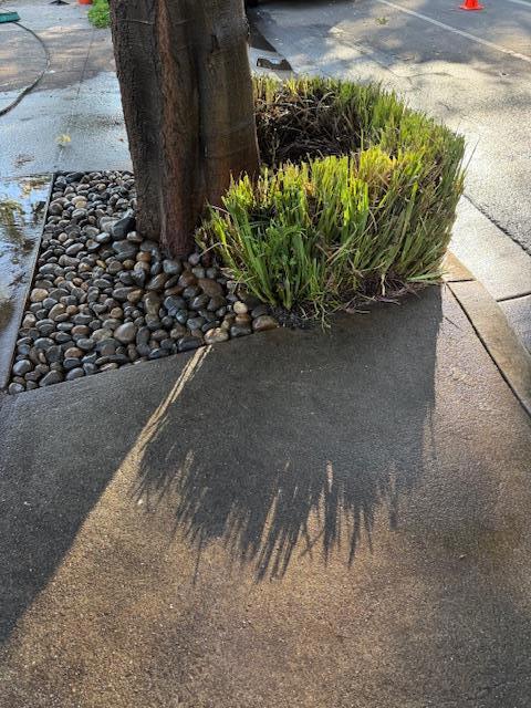 7610 Miller Avenue, Gilroy CA: https://media.crmls.org/mediaz/c01ff965-e866-43ea-999e-6c155c89e917.jpg