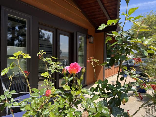 2824 Scenic View Rd, Alpine CA: https://media.crmls.org/mediaz/c02626b3-9bd1-4496-aa48-1d2d0c590a74.jpg