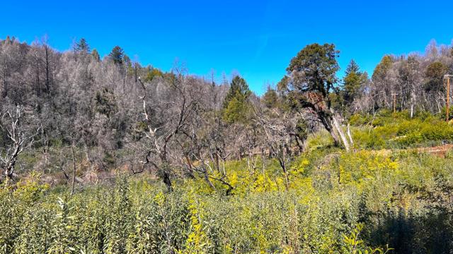 11035 Empire Grade, Santa Cruz CA: https://media.crmls.org/mediaz/c0263ba5-d09c-406c-a083-59d25195413a.jpg