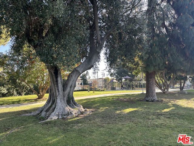 1027 S Lucerne Boulevard, Los Angeles CA: https://media.crmls.org/mediaz/c0275c2f-e508-45db-ac6e-e814764d8d04.jpg