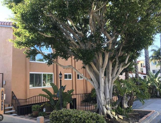 361 Rosecrans Street, San Diego CA: https://media.crmls.org/mediaz/c0327dc0-f9d2-497d-847d-79c7eb955892.jpg