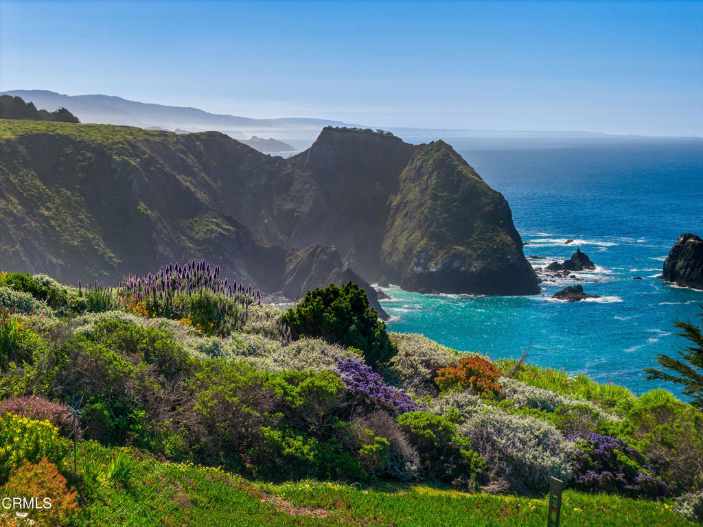 1440 Navarro Bluff Road