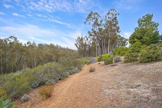 10751 Oakbend Dr, San Diego CA: https://media.crmls.org/mediaz/c0429e01-bedc-43ea-8162-c20e9ae5b037.jpg