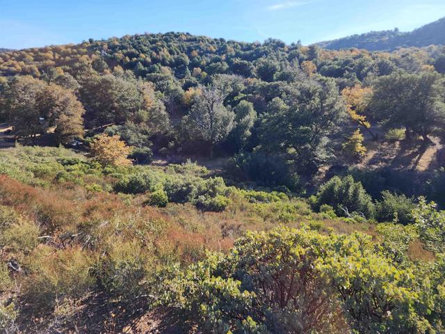 Chateau Drive, Julian, California 92036, ,Land,For Sale,Chateau Drive,CRNDP2308596