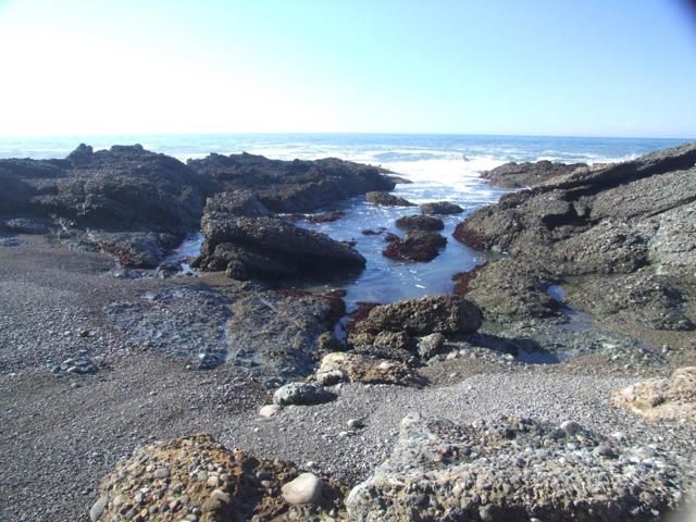 10247 Cabrillo Highway, Pescadero CA: https://media.crmls.org/mediaz/c07e16da-c504-4d9f-baf6-97f60879b952.jpg