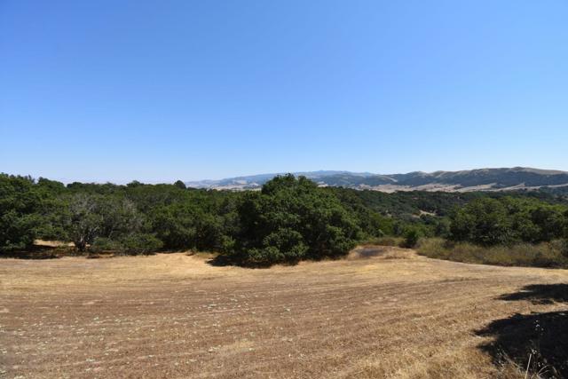 0 Alexander Lane, San Juan Bautista CA: https://media.crmls.org/mediaz/c08539fa-2e27-49b2-8458-9c57ef62d07d.jpg