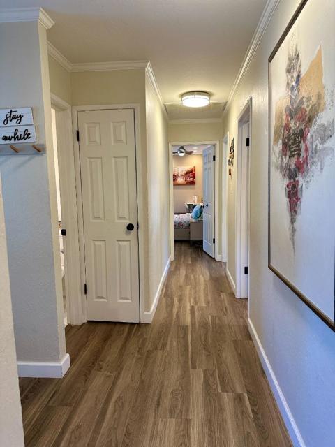 135 Green Hill Way, Los Gatos CA: https://media.crmls.org/mediaz/c08a3594-86da-473f-93ca-e10a0ad0e84e.jpg