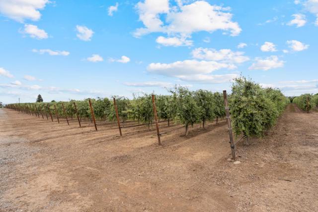 804 Comstock Road, Hollister CA: https://media.crmls.org/mediaz/c08d0d15-c452-4a59-9d1e-43659385ff28.jpg