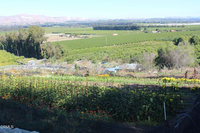 Detail Gallery Image 14 of 32 For 1672 E Los Angeles Ave, Somis,  CA 93066 - – Beds | – Baths