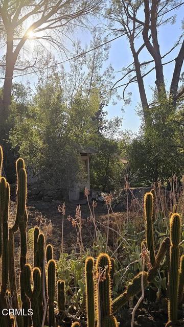 Detail Gallery Image 51 of 58 For 1450 Mcandrew Rd, Ojai,  CA 93023 - 4 Beds | 2 Baths