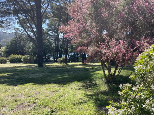 45300 Headlands Drive, Mendocino CA: https://media.crmls.org/mediaz/c0a14a7c-38a9-46fa-a157-cf1aa1908f9b.jpg