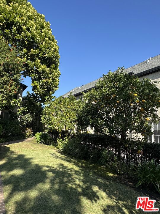 7917 Norton Avenue, West Hollywood CA: https://media.crmls.org/mediaz/c0a2559d-16d7-4ec2-9394-e6c9f438ad28.jpg