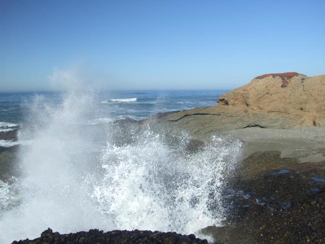 10247 Cabrillo Highway, Pescadero CA: https://media.crmls.org/mediaz/c0a51ecc-2236-4e86-8dab-8e62cc59452a.jpg