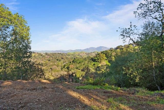 3533 Springhill Road, Lafayette CA: https://media.crmls.org/mediaz/c0aa0312-5095-42c7-8962-30e4aa83c83d.jpg