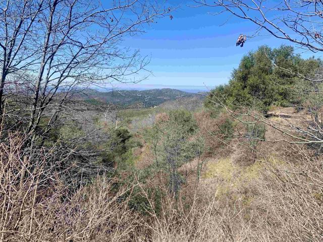 Details for 5371 Acorn Patch Rd, Julian, CA 92036