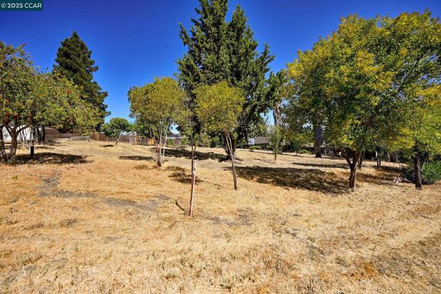 1051 Tilley Cir, Concord CA: https://media.crmls.org/mediaz/c0abf9db-c9d5-4455-bfde-bde732236f29.jpg