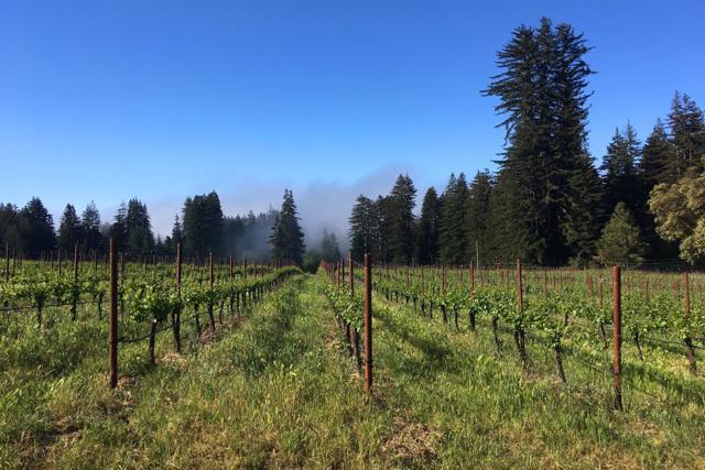 3980 Bonny Doon Road, Santa Cruz CA: https://media.crmls.org/mediaz/c0b02cd8-6e7c-45a2-8dab-ec69e17796f2.jpg