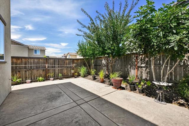 2466 Buzz Aldrin Way, Sacramento CA: https://media.crmls.org/mediaz/c0b4a6cd-8eeb-425c-8ad4-2b8e079e115e.jpg