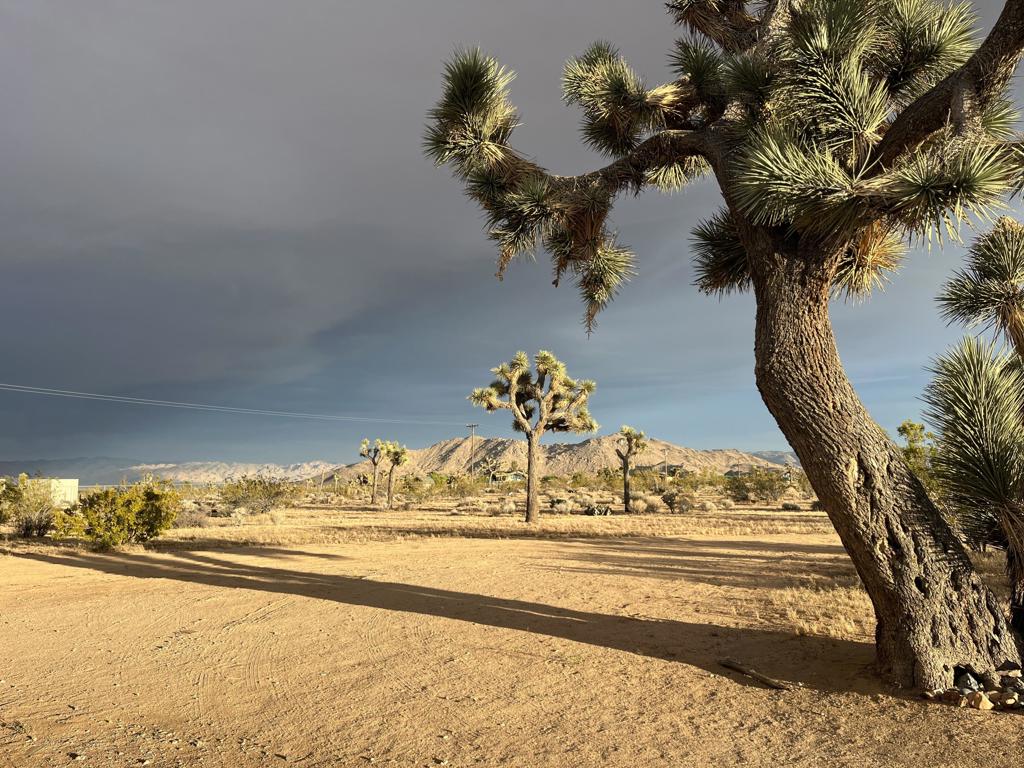 https://media.crmls.org/mediaz/c0b8ebf1-b2cc-49b1-9a61-e17c573a409b.jpg?preset=X-Large