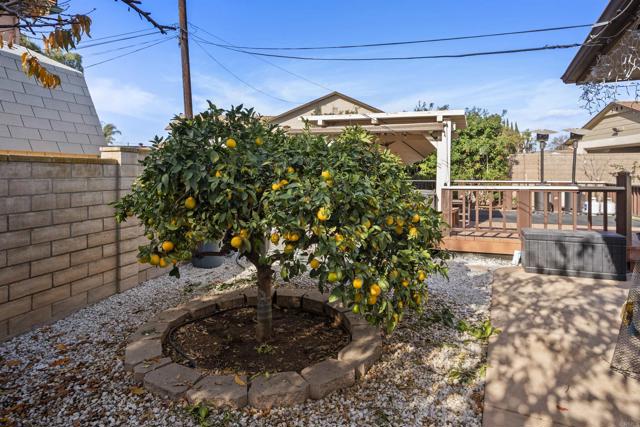 Image 24 of 28 For 3909 Alta Loma Drive