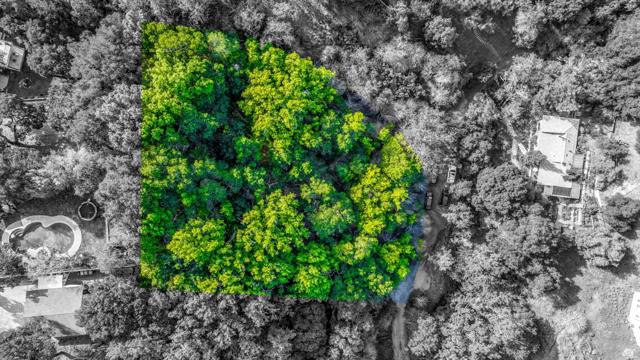 0 Canyon, Redwood City CA: https://media.crmls.org/mediaz/c0bcd666-589a-4c77-beb2-ebcb4ea696d5.jpg