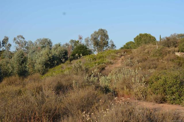 27332 Cool Water Ranch RD, Valley Center CA: https://media.crmls.org/mediaz/c0c5827c-1750-4057-8493-04623738b5c9.jpg