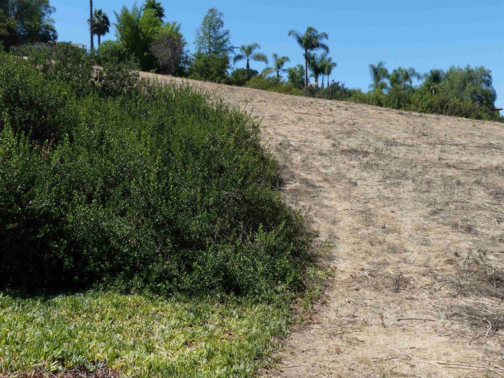 Paradise Glen Way San Marcos - photo 8