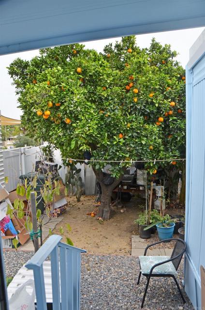 Detail Gallery Image 23 of 30 For 245 W Bobier Dr #SPC 91,  Vista,  CA 92083 - 2 Beds | 2 Baths