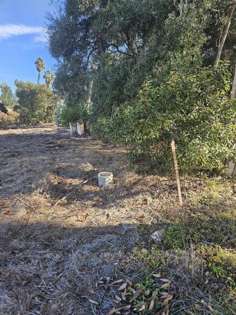 0 Echo Dr, La Mesa CA: https://media.crmls.org/mediaz/c0e028b4-fb5b-4fe6-bee0-5b5f4e19495e.jpg